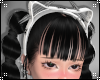 Kitty ears V4