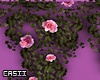 Roses Vines Decor