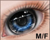 Blue Eyes Male/Female