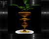 gold Vase Plan