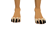 anyskin canine feet