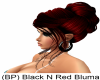(BP) Black N Red Bluma