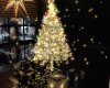 (SL) Christmas Tree Spar