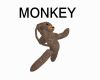 Monkey Avatar