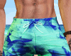 Sy| Beach Shorts blue