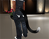 Black Cat Tail