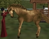 brown horse ani