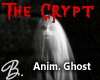 *B* The Crypt Ani Ghost