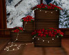 Holiday Poinsettia Box