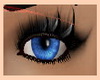 !~TC~! Blue Eyes Amore