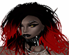 black red Isabell