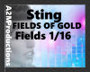 Sting - fields of gold