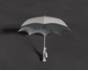z|p GM x MM Parasol