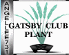 GATSBY CLUB PLANT