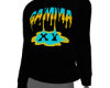11´s Gamma blue