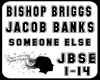 Bishop Briggs-jbse