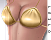 ! L! Gold Bikini Top