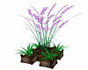 >Purple Orchid Planter<