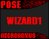 Wizards Pose 1
