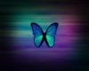 Butterfly Color Blur
