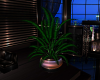 FLAIR POTTED PLANT