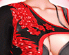 梅 red dragon set