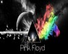 (v) Pink Floyd club