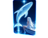 🅂  Cutout Whale