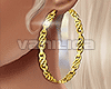 ☕ Gold Hoops