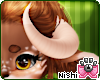 Nishi Tapir Horns 3