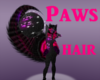Paws- hair