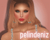 [P] Pelin bundle
