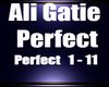 Ali Gatie - Perfect