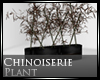 [Nic]Chinoiserie Plant