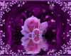 *R* Purple/Pink flower 