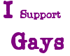 I support gays sticker
