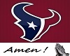 Texans NFL Jersey (F)
