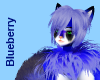 Blueberry Shoulder Fur