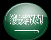 Saudi Arabia Btn Sticker