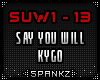 Say You Will - Kygo SUW