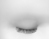 NO EYEBROWS