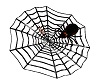 halloween spider n web