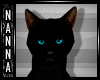 -N- Black Cat