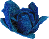 M Blue Shimmer Rose