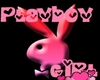 Pink Bunny Home