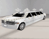 Wedding Limo w/ Poses