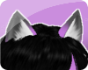 {s} Pretty Fox Ears