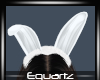Winter White Bunny Ears