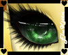 Mngo::EyesV2