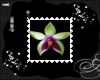 Flower stamp 1